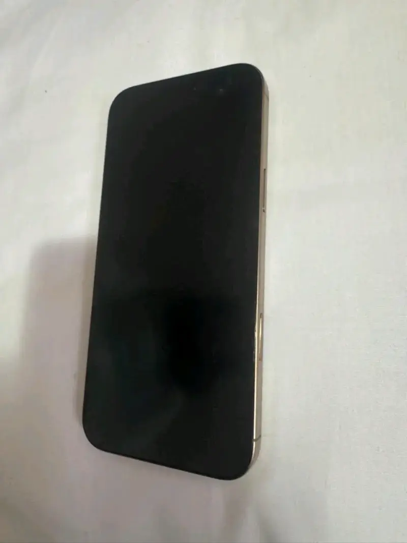 iPhone 15 Pro Max 256GB en buen estado - 1
