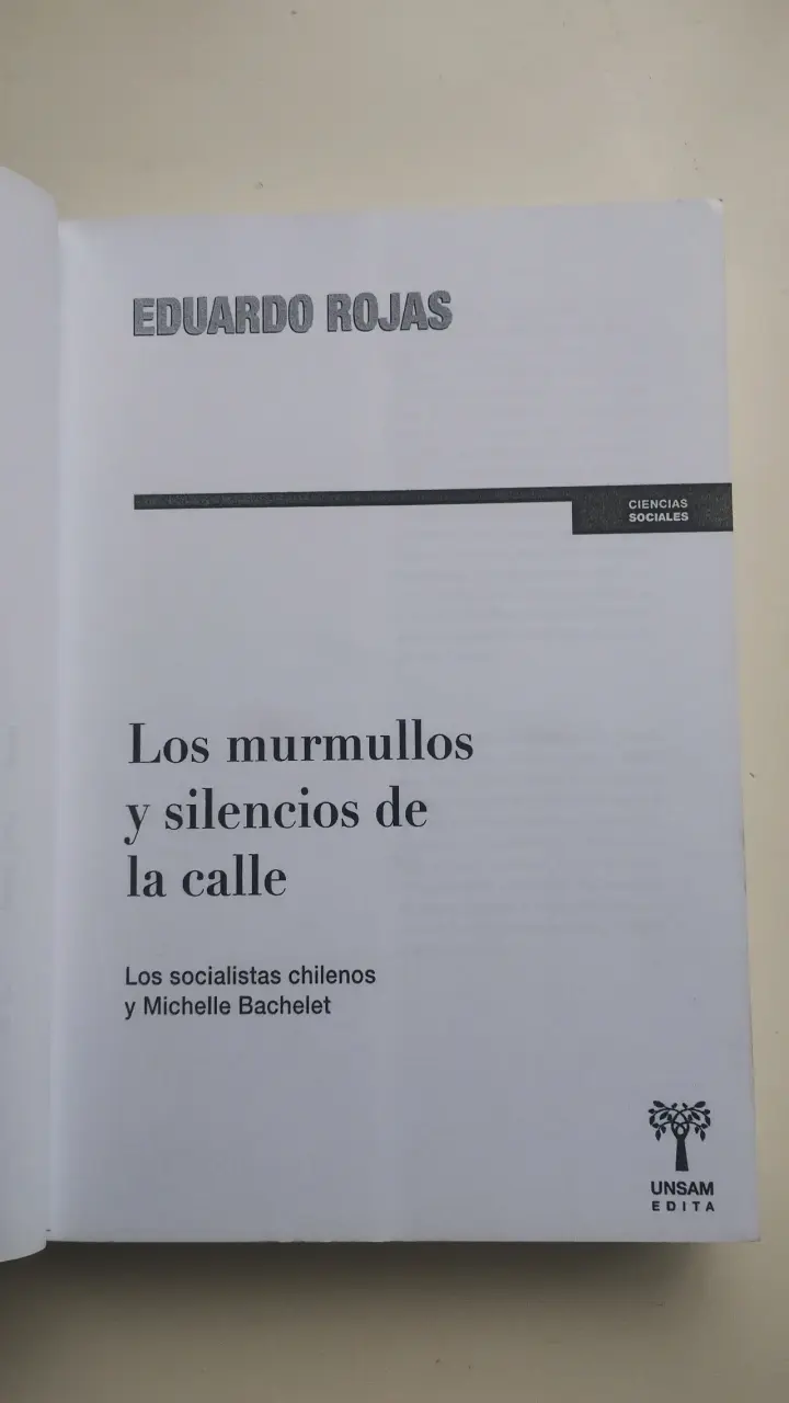 Libro Los Murmullos y Silencios de la Calle de Eduardo Rojas - 2