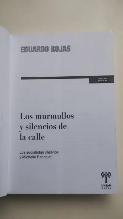 Libro Los Murmullos y Silencios de la Calle de Eduardo Rojas - miniatura 2
