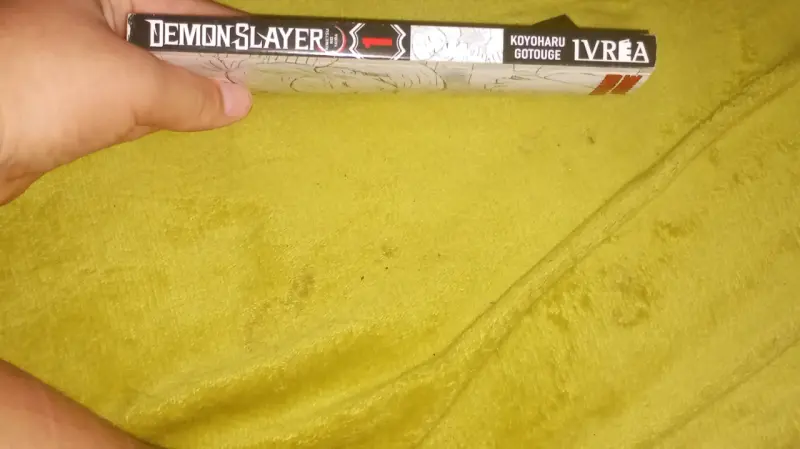 Manga Demon Slayer Volumen 1 Ivrea - 6