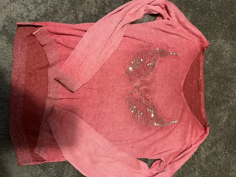 Suéter rosado con diseño de alas y lentejuelas - 1