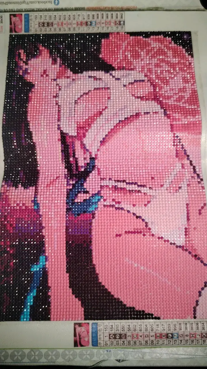 Pintura Diamante Anime Mujer - 1