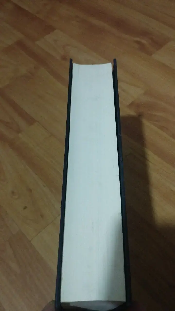 Libro La Mano de Fátima de Ildefonso Falcones - 4