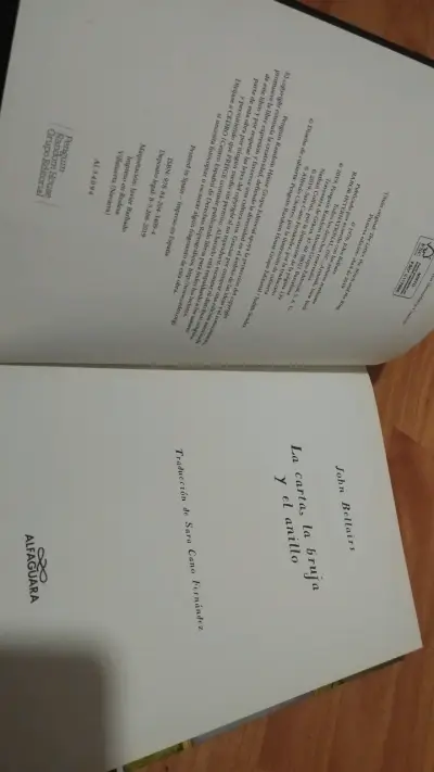 Libro 'La Carta, la Bruja y el Anillo' de John Bellairs - miniatura 5