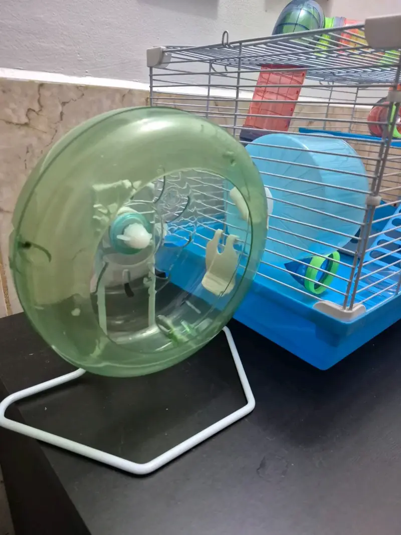 Jaula para hámster con accesorios y rueda - 2