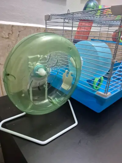 Jaula para hámster con accesorios y rueda - miniatura 2