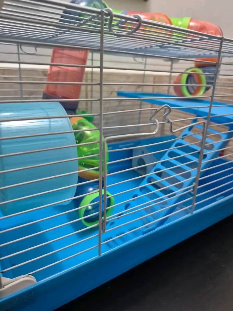 Jaula para hámster con accesorios y rueda - 3