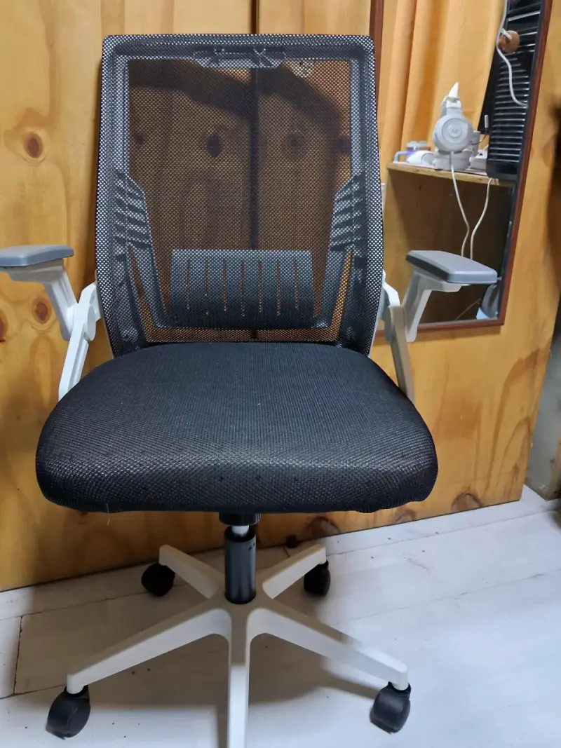 Silla de Oficina Ergonómica con Respaldo de Malla - 2