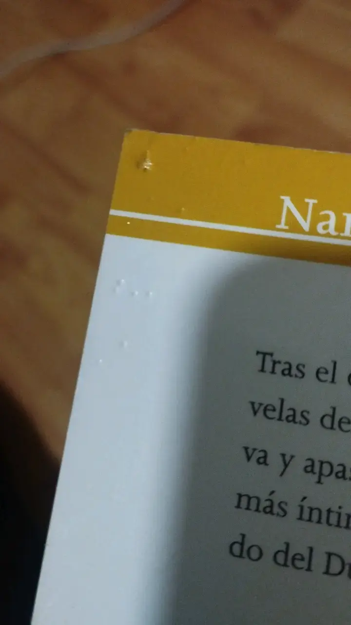 Libro 'Muerte en Verano' de Benjamin Black - 5