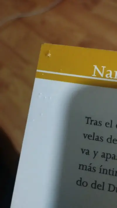 Libro 'Muerte en Verano' de Benjamin Black - miniatura 5