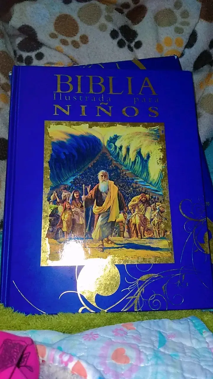 Biblia Ilustrada para Niños en Tapa Dura - 4