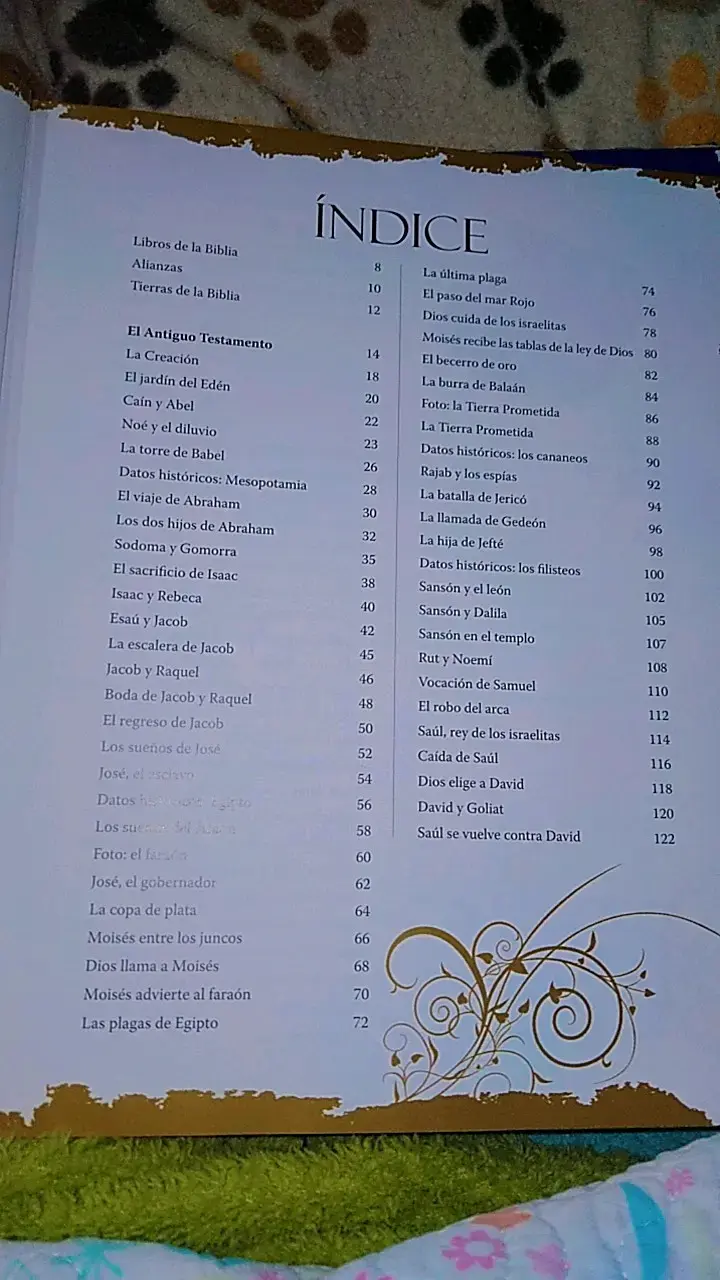 Biblia Ilustrada para Niños en Tapa Dura - 5