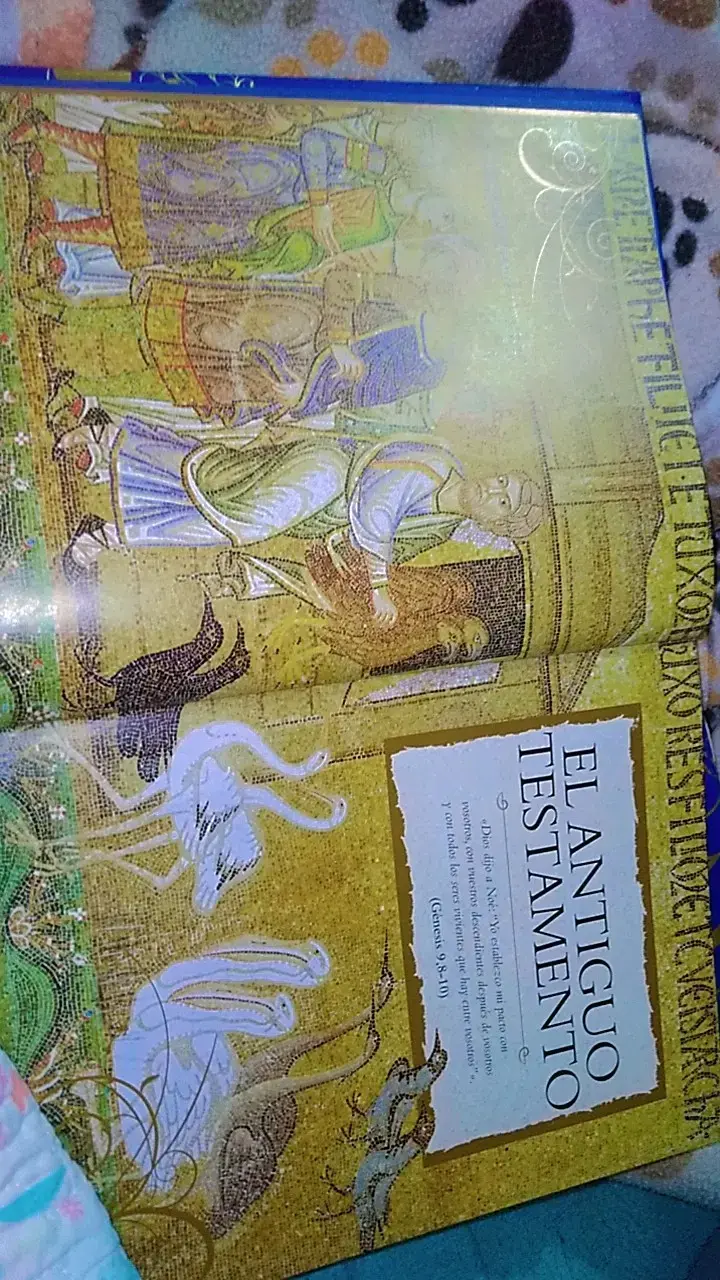 Biblia Ilustrada para Niños en Tapa Dura - 6