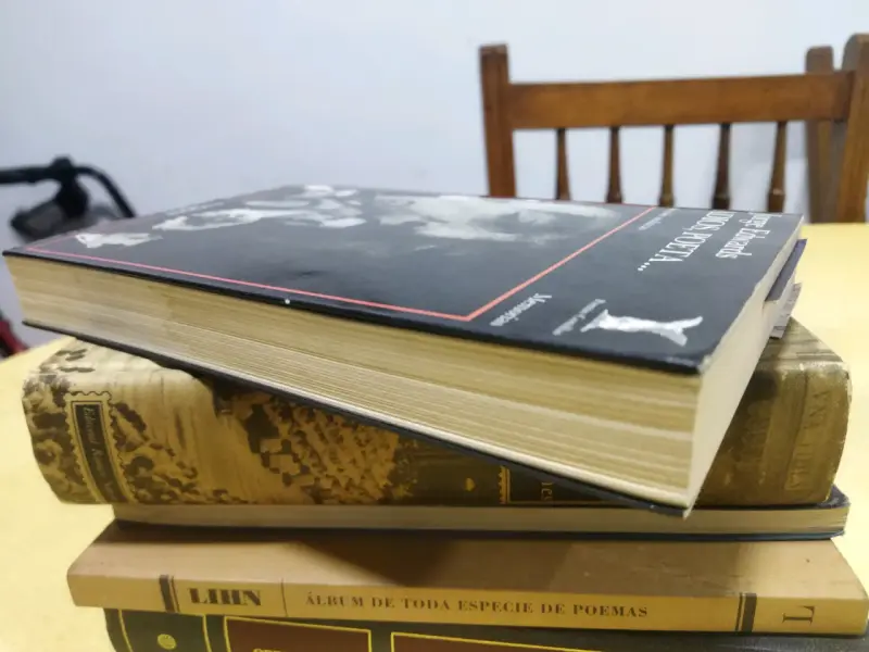 Libro 'Adiós, Poeta...' de Jorge Edwards - 4