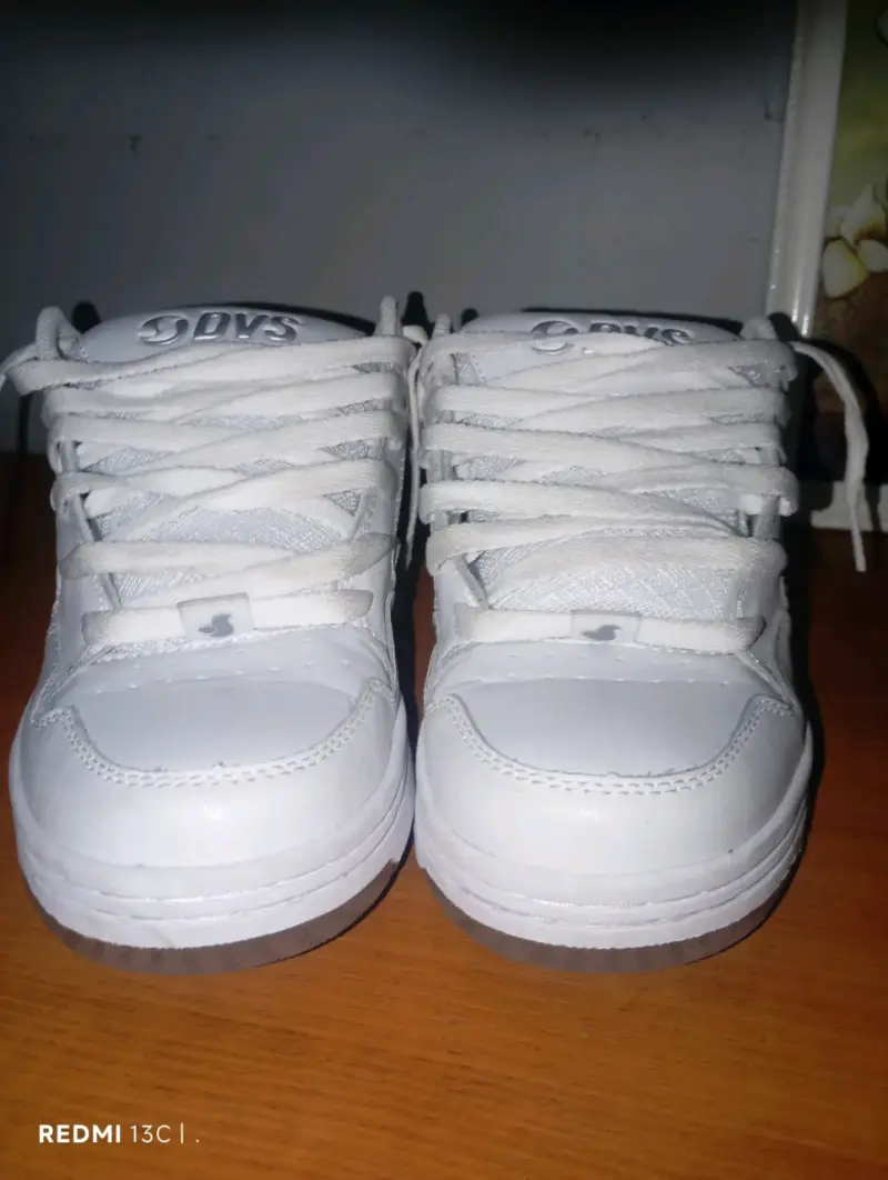 Zapatillas DVS Enduro 125 - 3
