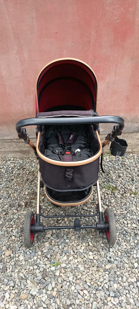 Coche Belecco - 1