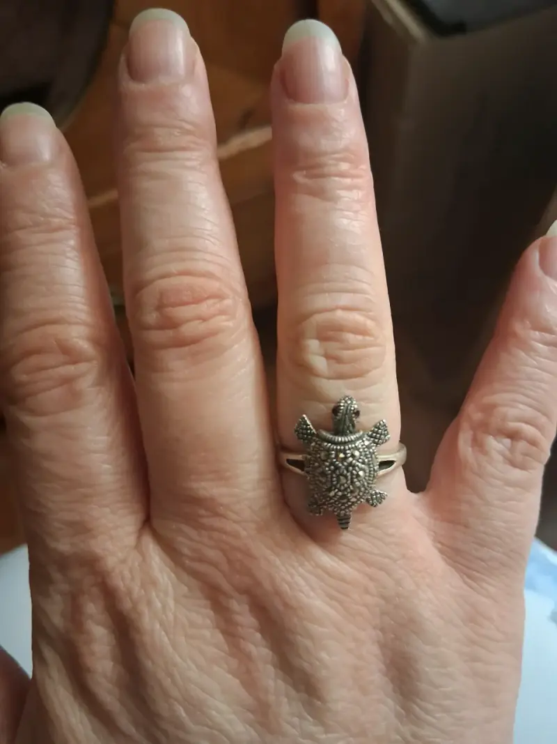 Conjunto de anillos de plata con diseños variados - 1