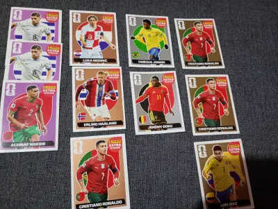 Set de láminas Panini FIFA Extra Sticker - miniatura 1