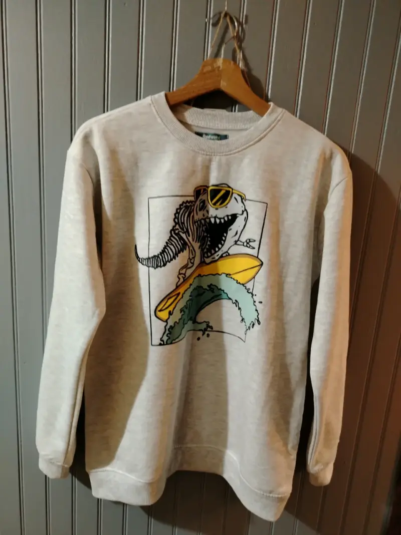 Polerón gris con diseño de dinosaurio surfista - 1