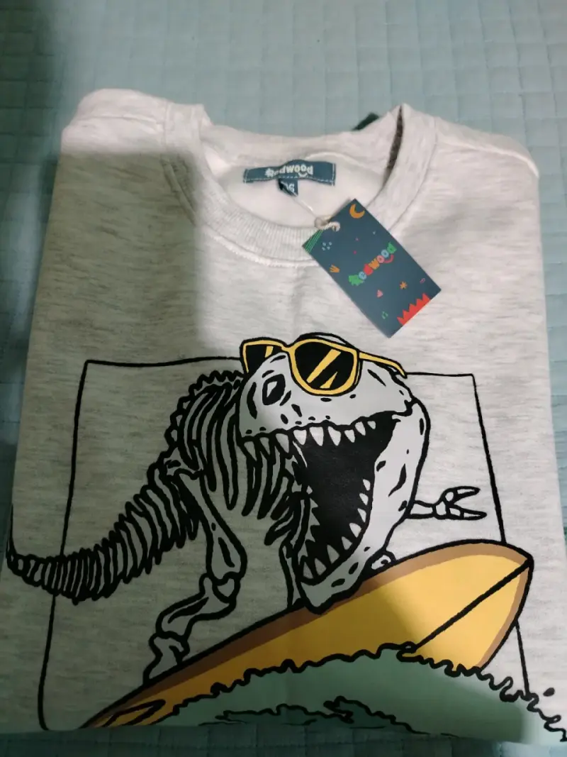 Polerón gris con diseño de dinosaurio surfista - 3