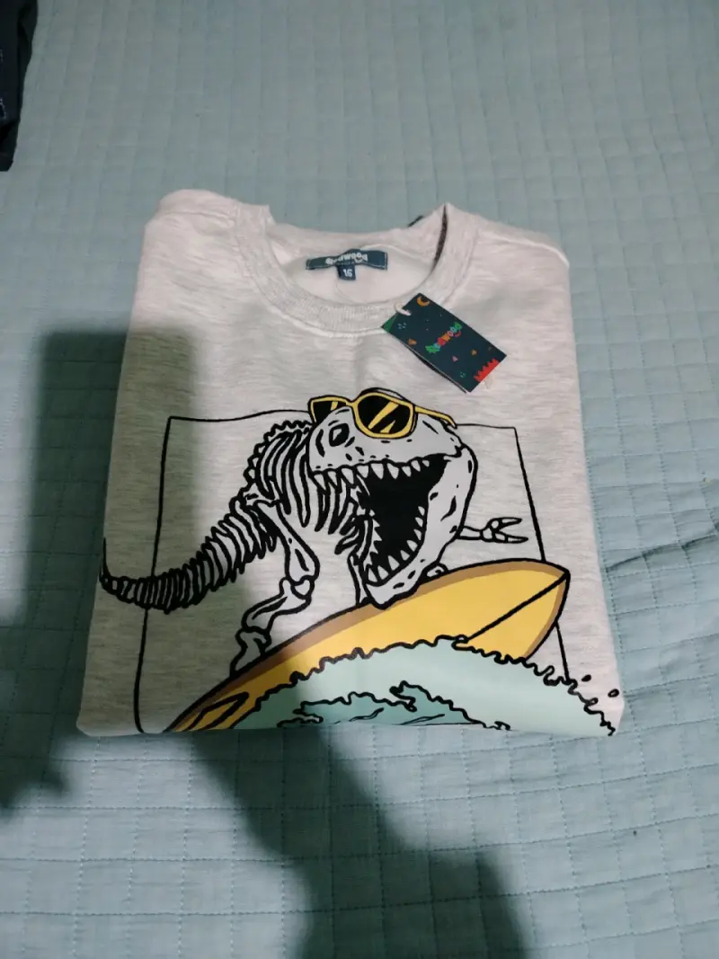 Polerón gris con diseño de dinosaurio surfista - 4