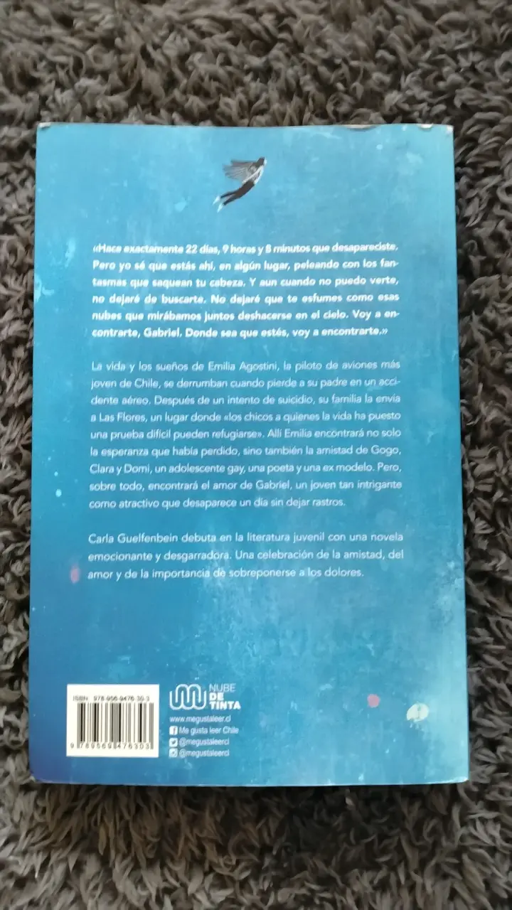Libro 'Llévame al cielo' de Carla Guelfenbein - 2