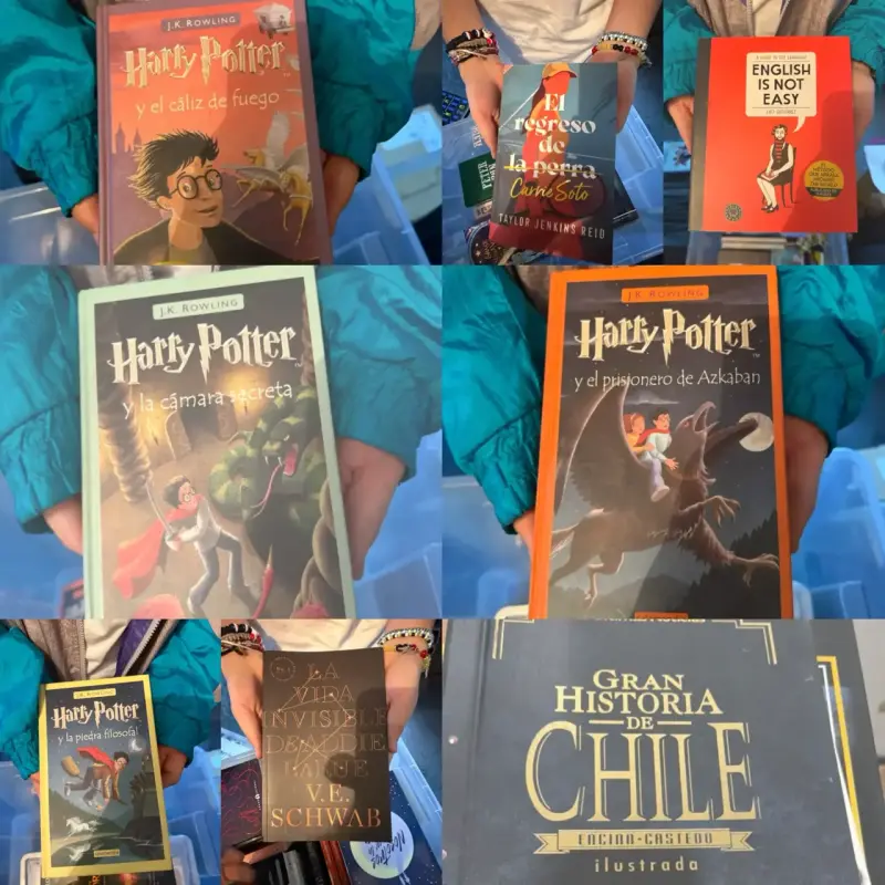 Colecció de libros populares incluyendo Harry Pott