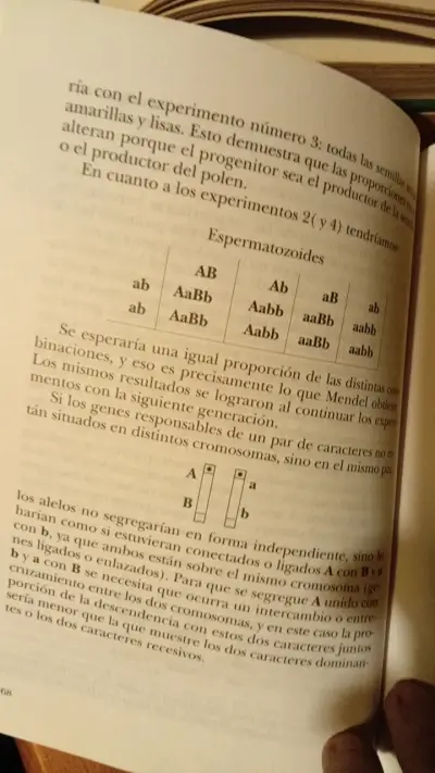 Libros 'Usted y la Herencia' y 'Gregor Mendel' - miniatura 6