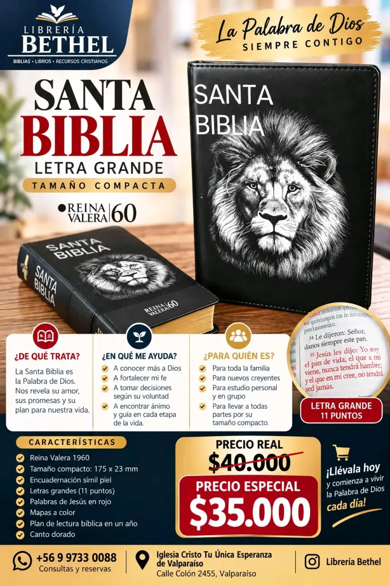Librería Bethel - 3