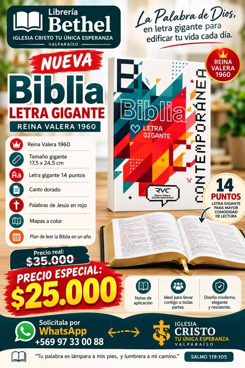 Librería Bethel - 5