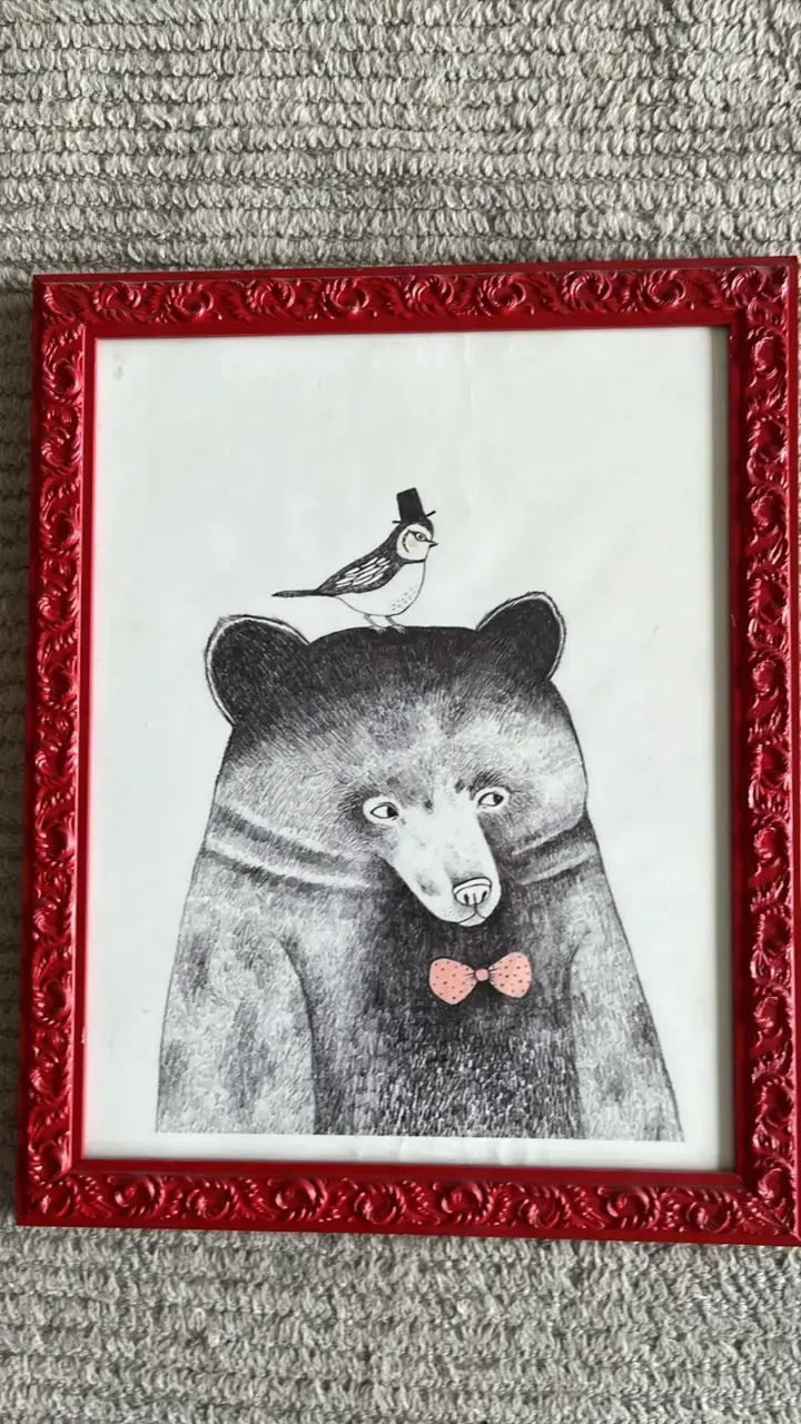 cuadros decorativos con animales 50x40 - 3