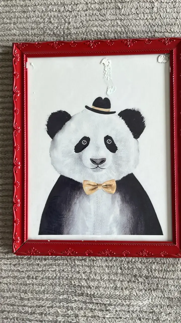 cuadros decorativos con animales 50x40 - 4