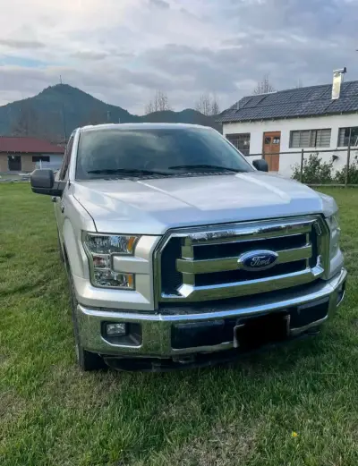 Camioneta Ford F-150 cabina simple - miniatura 1