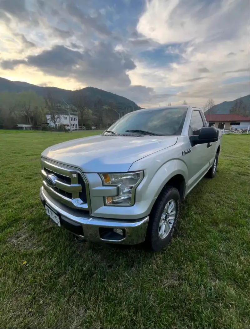 Camioneta Ford F-150 cabina simple - 2