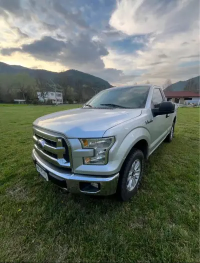 Camioneta Ford F-150 cabina simple - miniatura 2