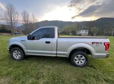 Camioneta Ford F-150 cabina simple - miniatura 4