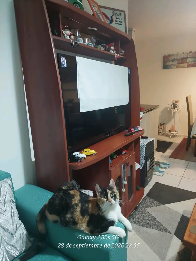 Mueble para TV de Madera con Estantes - 3