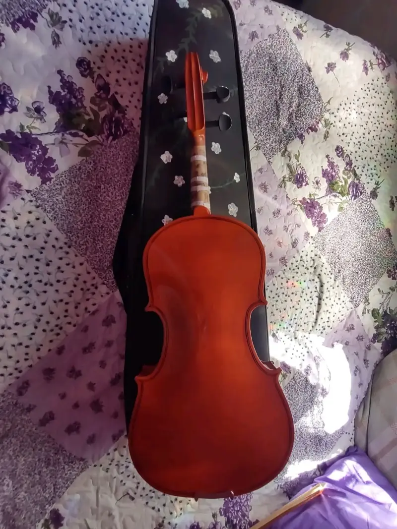 Violín 3/4 con estuche y arco para principiantes - 2