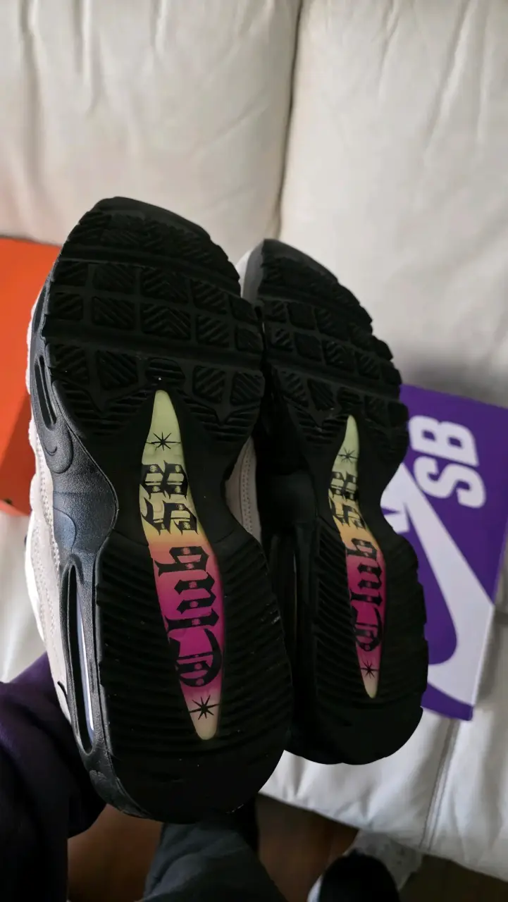 Nike Air Max 95 SB World Cup Pack US:H10.5 - 6