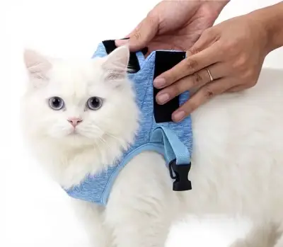 Arnés y Correa Ajustable para Gato o Perro Pequeño - miniatura 1