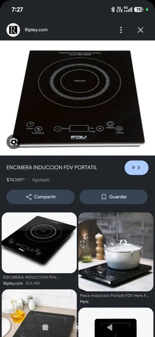 Encimera de Inducción Portátil FDV Profesional - 2