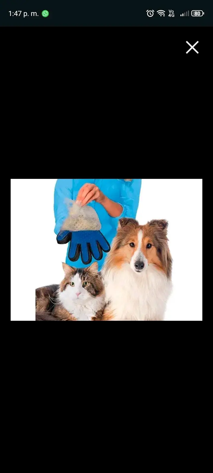 Guante removedor de pelo para mascotas - 2