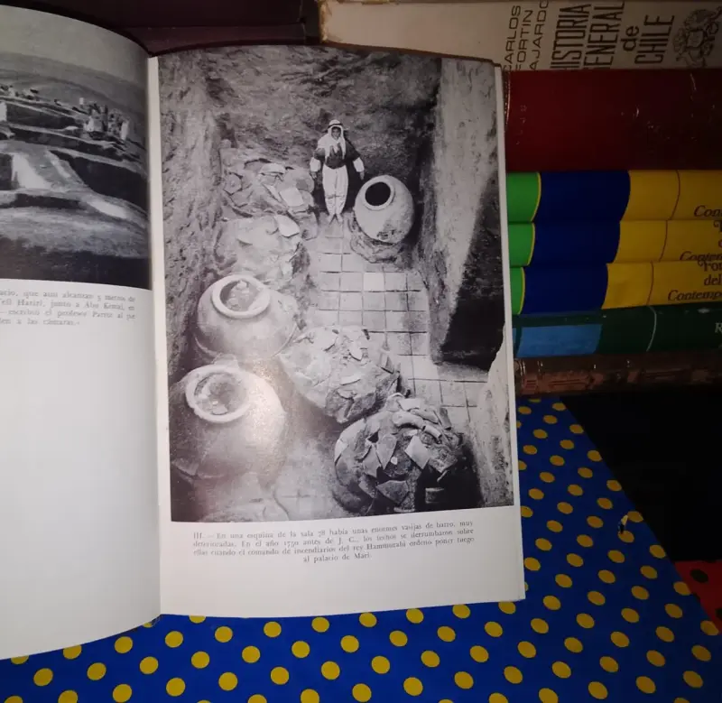 Y La Biblia Tenía Razón - Werner Keller - 6