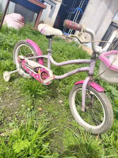 Bicicleta infantil Oxford rosa con ruedas de apoyo - miniatura 1
