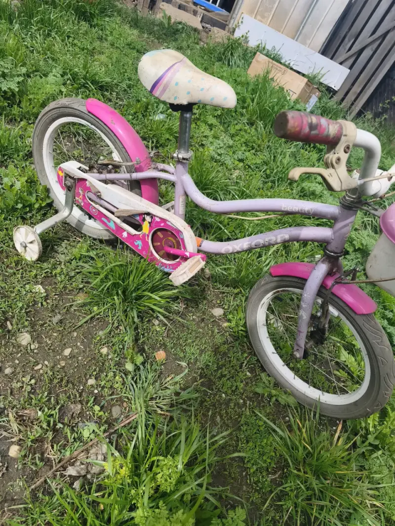 Bicicleta infantil Oxford rosa con ruedas de apoyo - 2