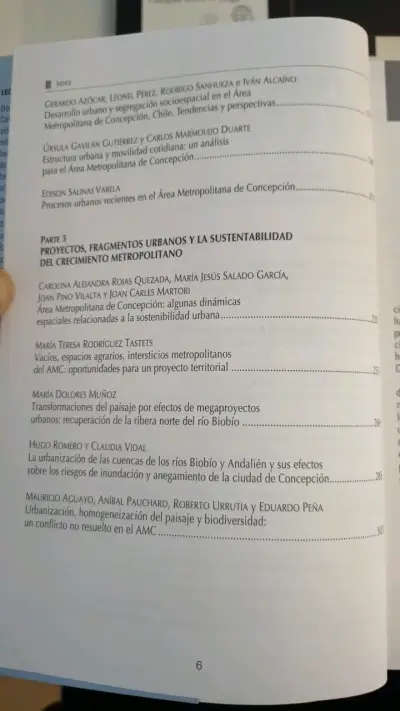 Libro ConcepciónMetropolitano Evolución y Desafíos - miniatura 3