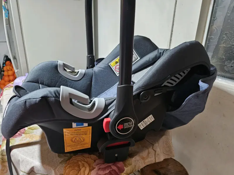 Silla de Auto Bebesit para Bebé con Capota - 2