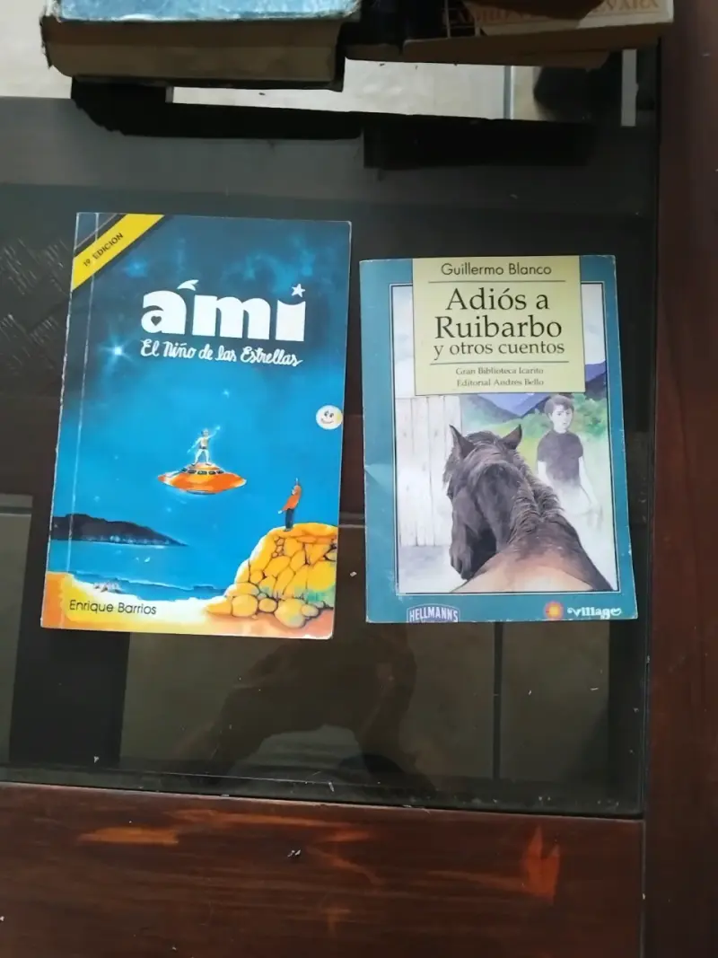 Libros 'Ami, El Niño de las Estrellas' y 'Adiós a Ruibarbo'