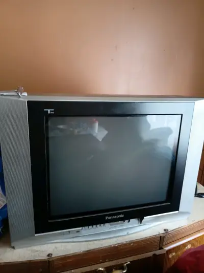 Televisor Panasonic CRT de 29 pulgadas - miniatura 1