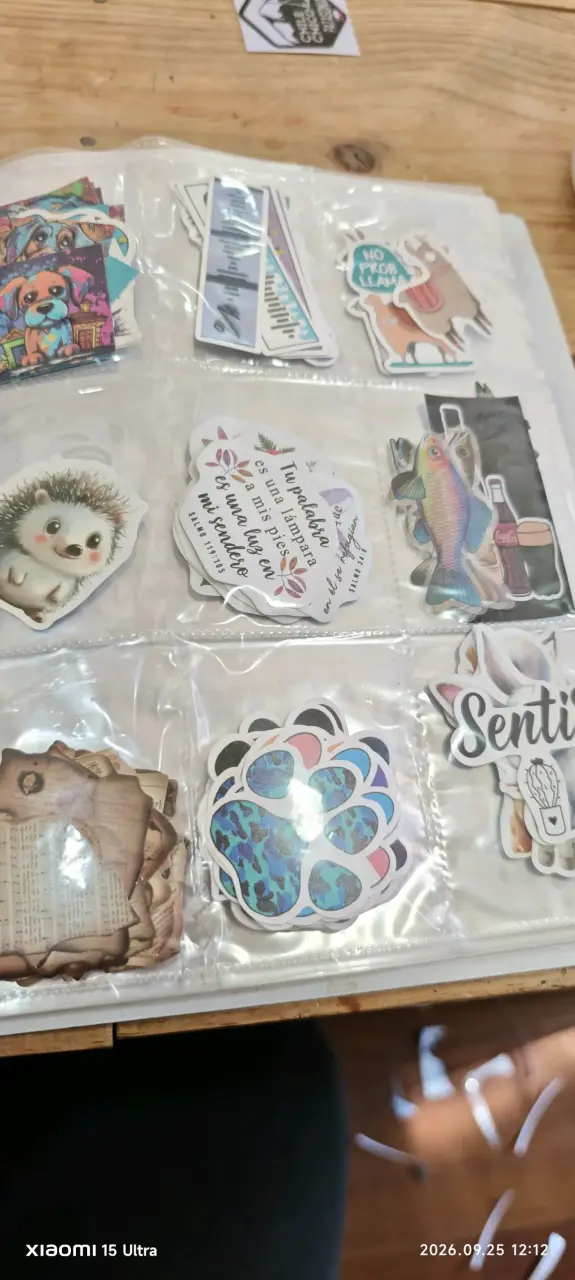 Set de Stickers de Córdoba y Argentina - 4